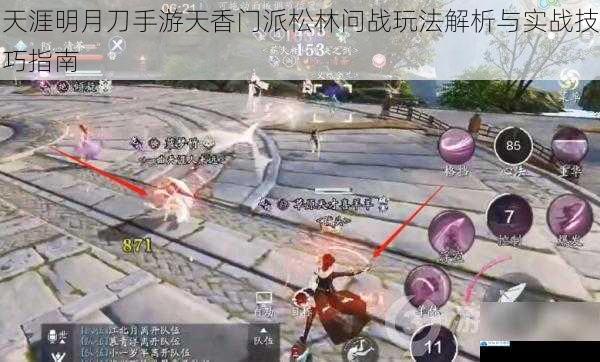 天涯明月刀手游天香门派松林问战玩法解析与实战技巧指南