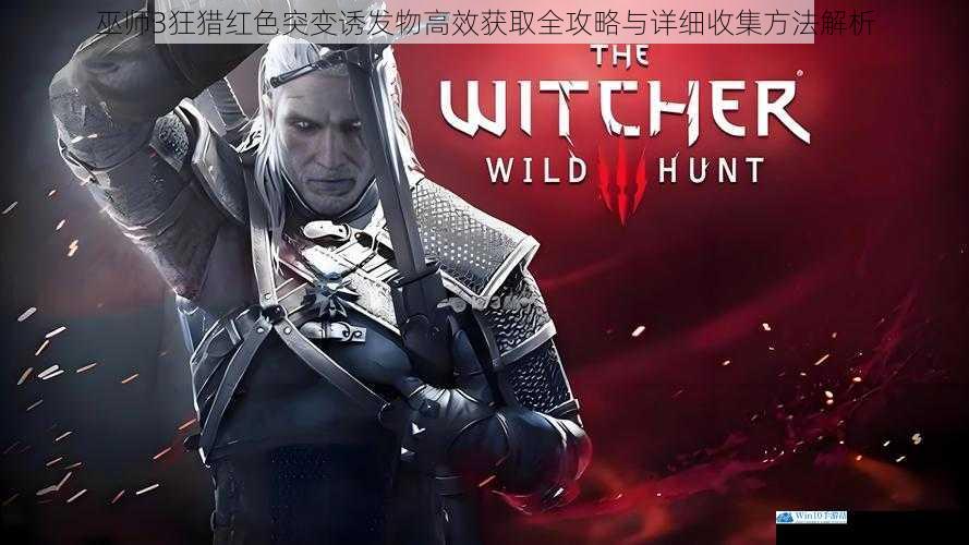 巫师3狂猎红色突变诱发物高效获取全攻略与详细收集方法解析