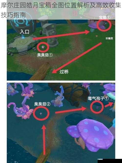 摩尔庄园皓月宝箱全图位置解析及高效收集技巧指南