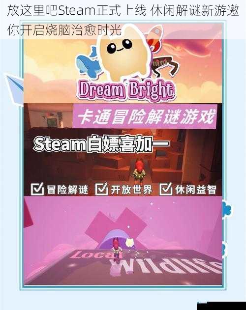 放这里吧Steam正式上线 休闲解谜新游邀你开启烧脑治愈时光