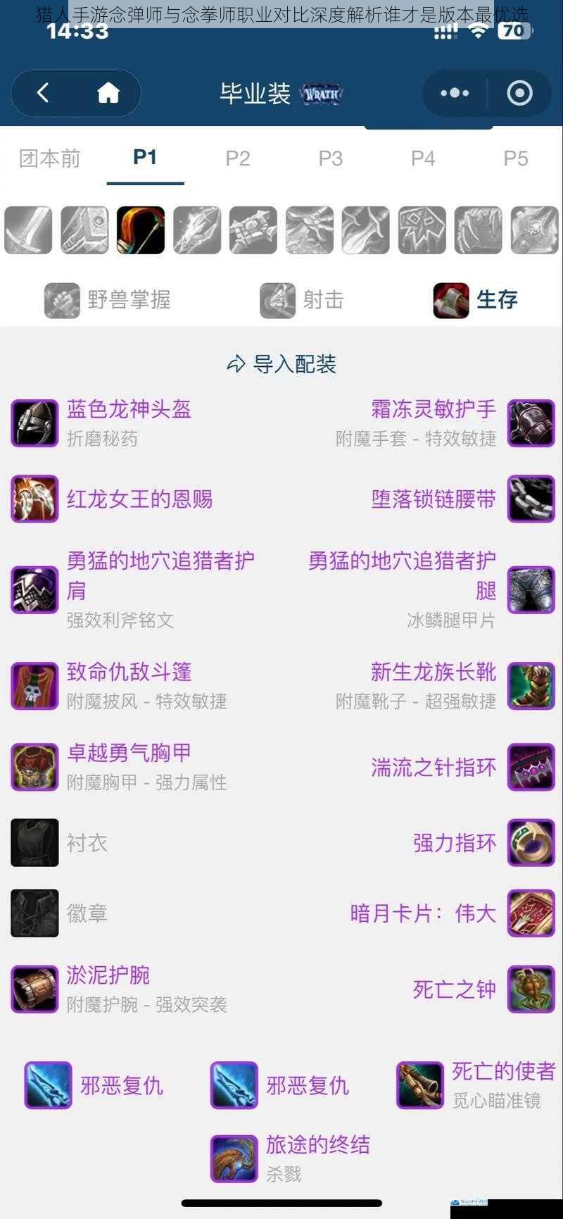 猎人手游念弹师与念拳师职业对比深度解析谁才是版本最优选