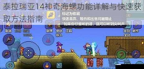 泰拉瑞亚14神奇海螺功能详解与快速获取方法指南