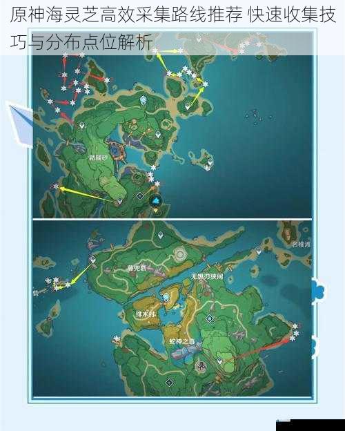 原神海灵芝高效采集路线推荐 快速收集技巧与分布点位解析