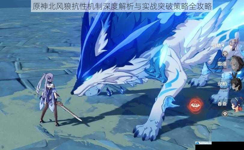 原神北风狼抗性机制深度解析与实战突破策略全攻略