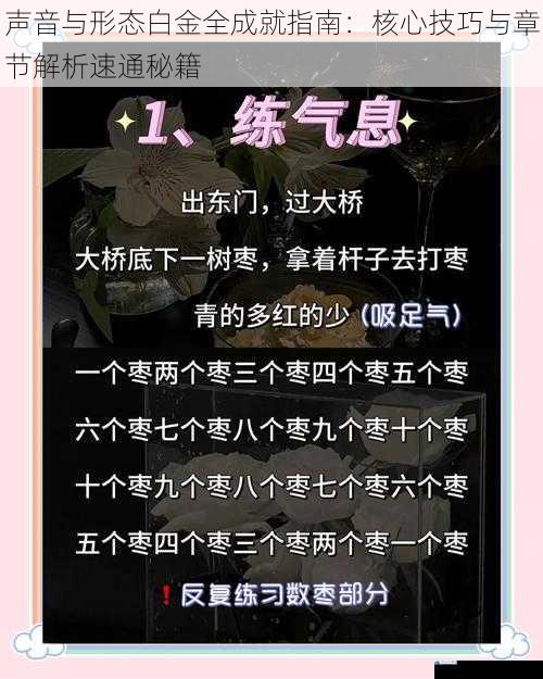 声音与形态白金全成就指南：核心技巧与章节解析速通秘籍