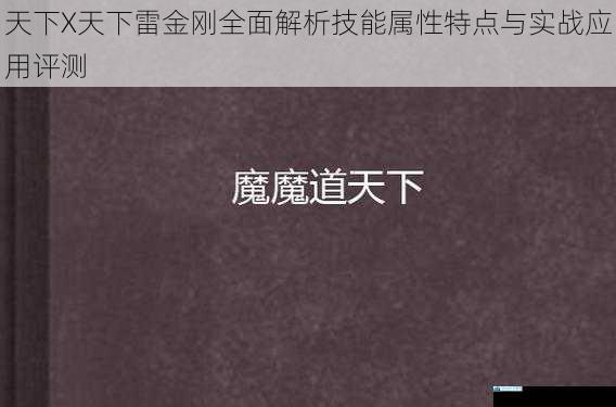 天下X天下雷金刚全面解析技能属性特点与实战应用评测