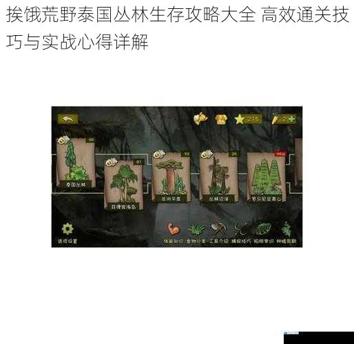 挨饿荒野泰国丛林生存攻略大全 高效通关技巧与实战心得详解