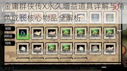 金庸群侠传X永久增益道具详解与角色成长核心物品全解析