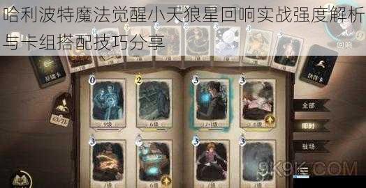 哈利波特魔法觉醒小天狼星回响实战强度解析与卡组搭配技巧分享