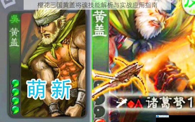 樱花三国黄盖将魂技能解析与实战应用指南