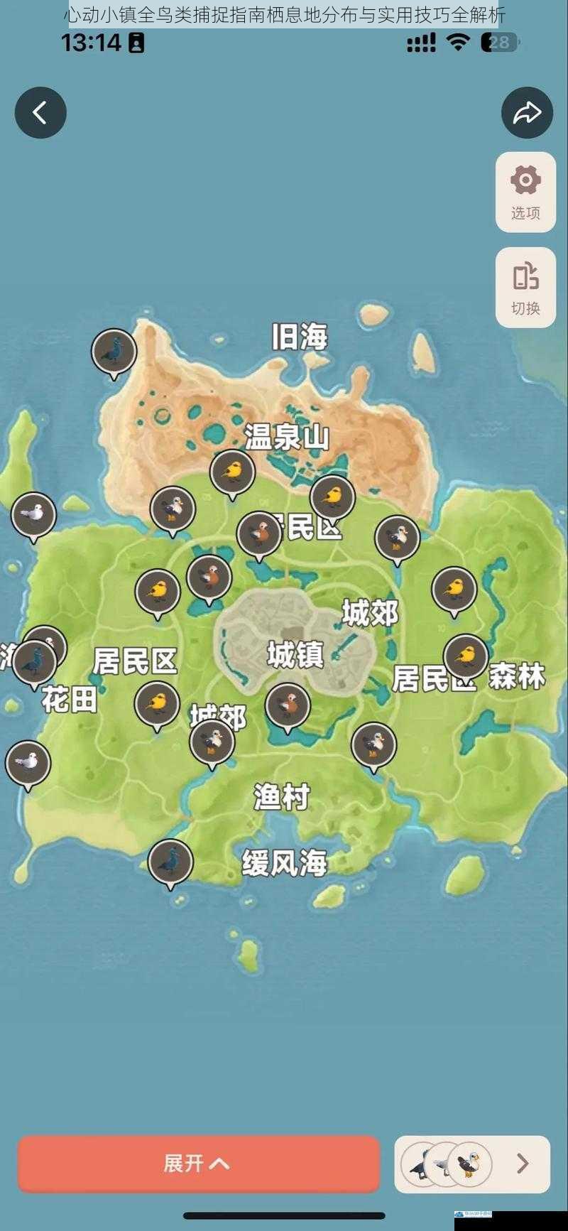 心动小镇全鸟类捕捉指南栖息地分布与实用技巧全解析