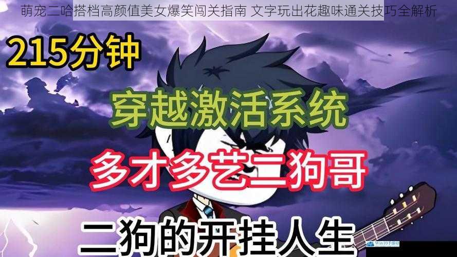 萌宠二哈搭档高颜值美女爆笑闯关指南 文字玩出花趣味通关技巧全解析